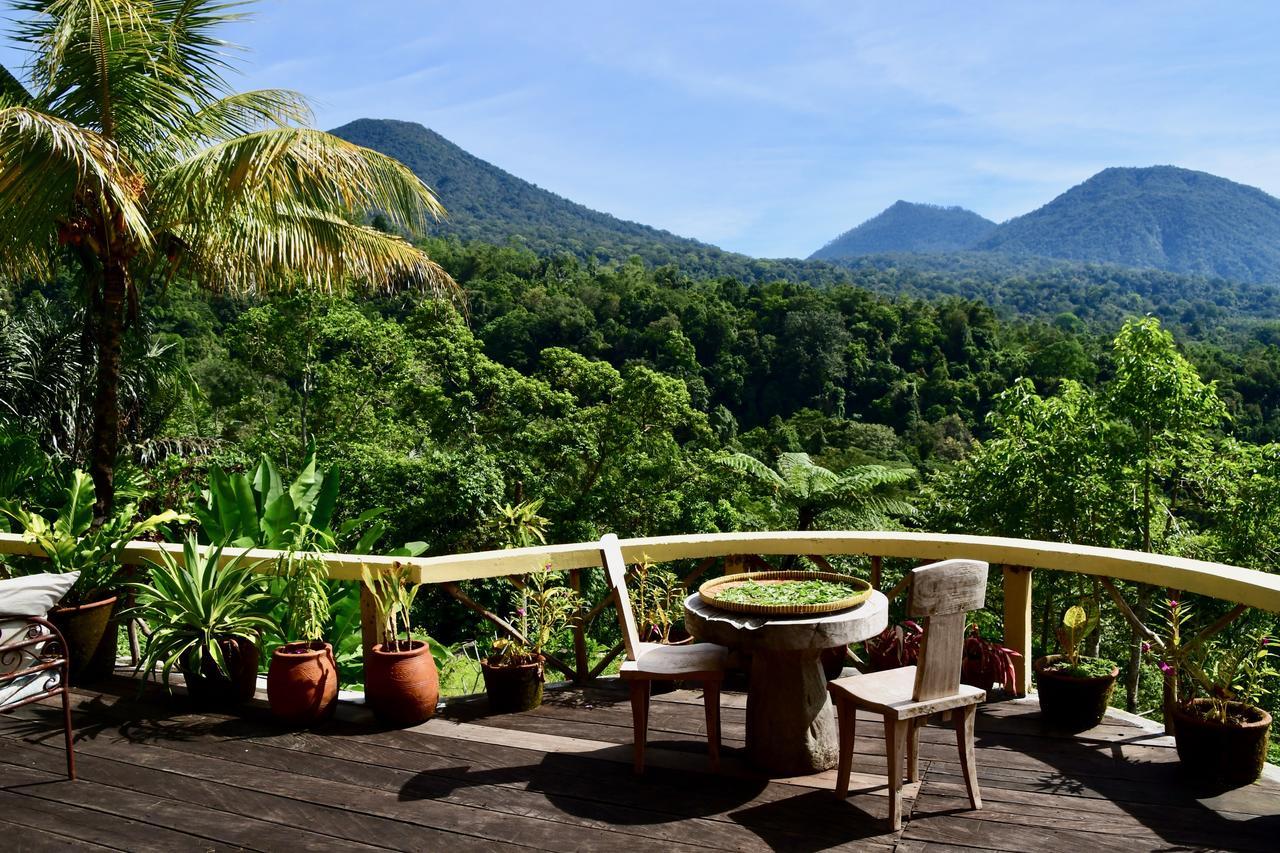 Dwan Tea Mountain Side Bed & Breakfast Jatiluwih Eksteriør bilde
