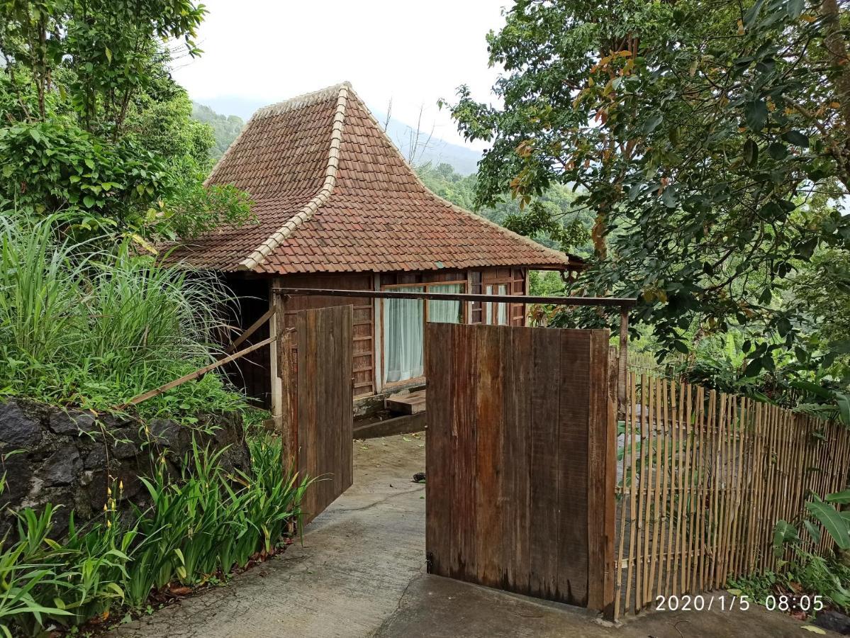 Dwan Tea Mountain Side Bed & Breakfast Jatiluwih Eksteriør bilde